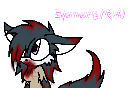 Experiment 13 ~Ruth~