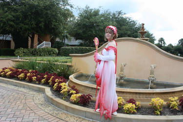 Sakura at the Fountain