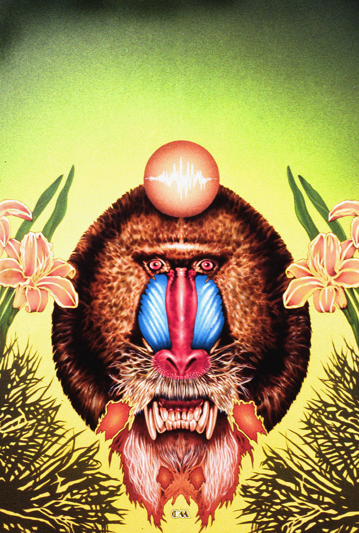 Mandrill by charlie45 on DeviantArt