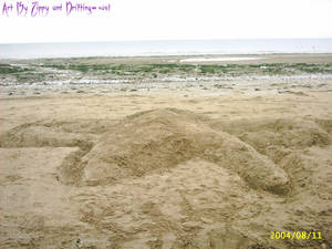 Star trek badge in the sand