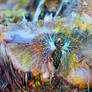 Growing Wings