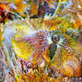 Growing Psychedelic Wings