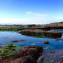 The Tide Is Out