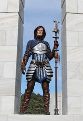 Dragon Age 2 Grey Warden mage - front view