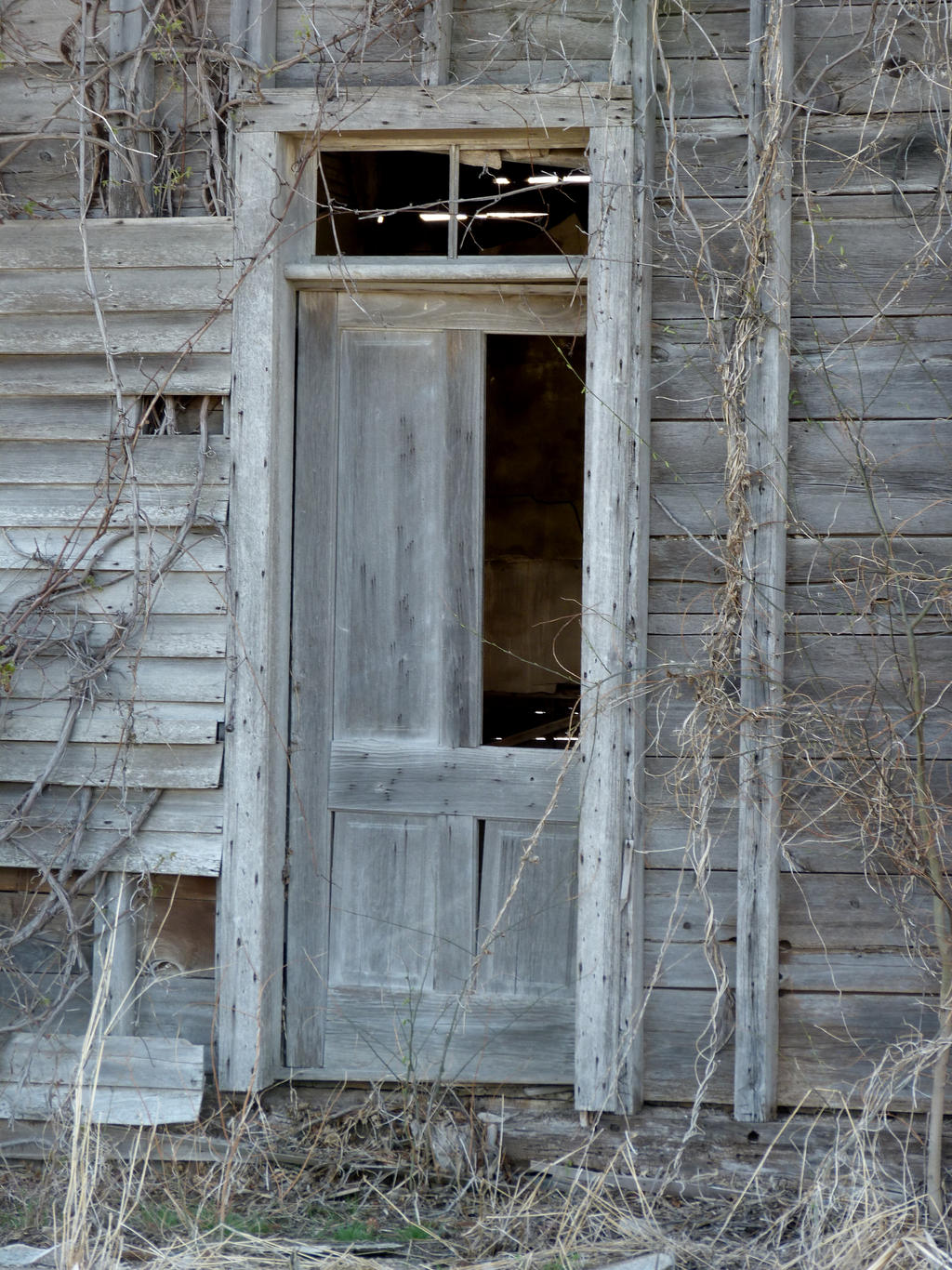 Untitled Door