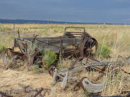 Old Timers out in the Bone Yard