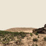 beach desert driftwood stock