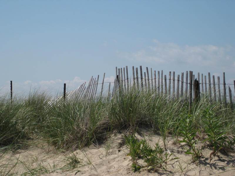 sand dunes and fence stock