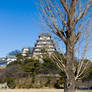 winter tree by the castle