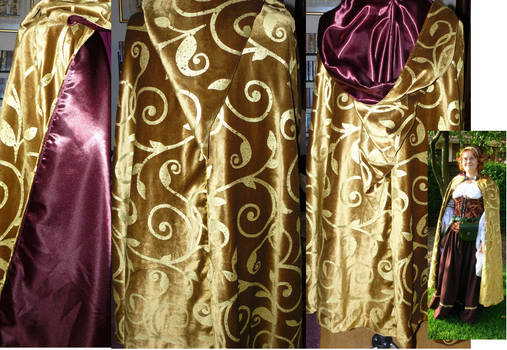 velvet Renaissance cloak