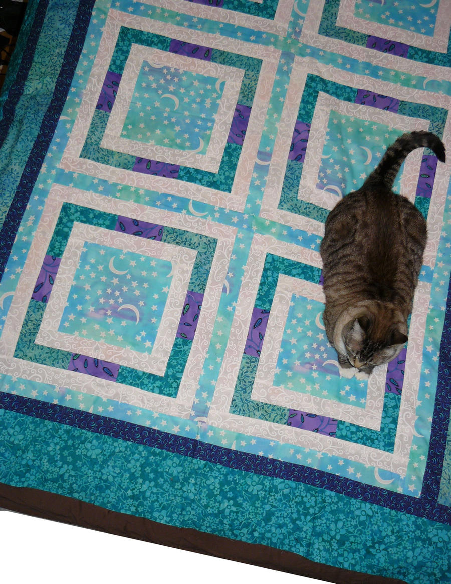 Floating Frames Quilt Top