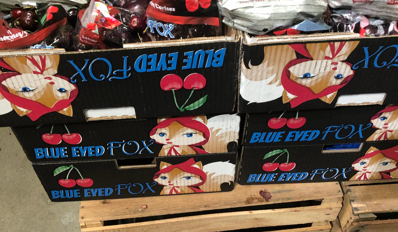 Blue Eyed Fox Cherries By Lucariosnoopervixey On Deviantart