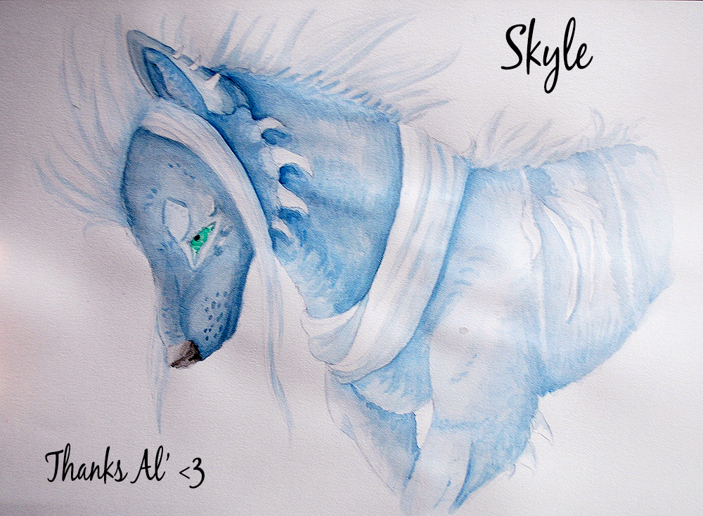 Skyle - Aquarelle