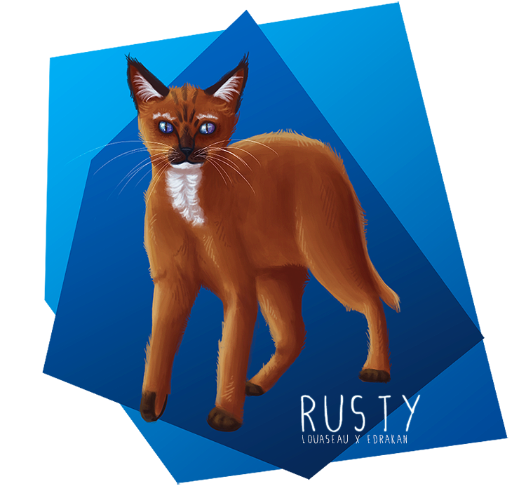 Rusty - Louaseau AT