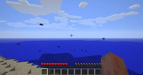 Flying Squid Sighting in 1.4.4