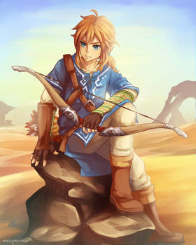 WiiU Link