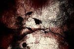 tear's blight by RomeoAlwaysDies