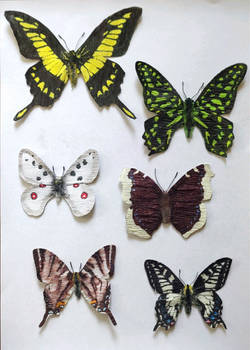 Paper butterflies