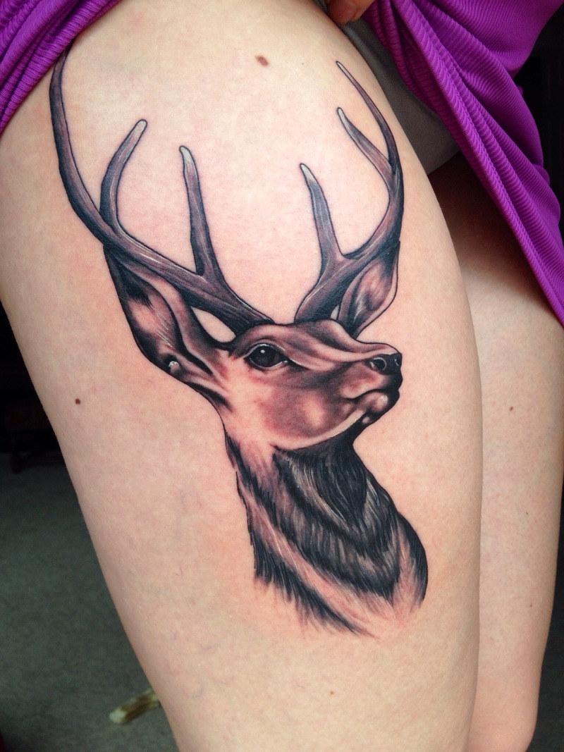 Stags Head Tattoo by GingerMusings on DeviantArt