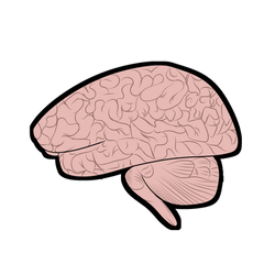 Brain Sticker