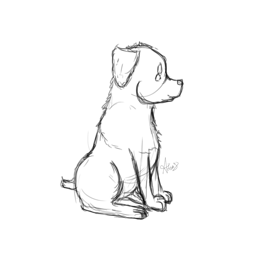 Stupid Puppy sketch