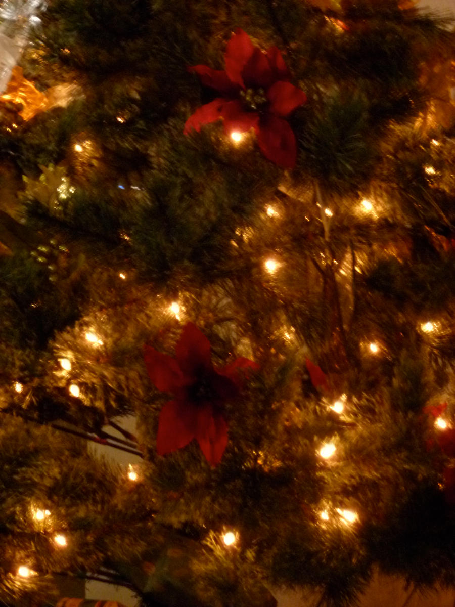 Christmas Tree Texture