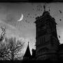 The Crow Tower