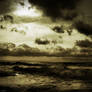 Sepia Sea