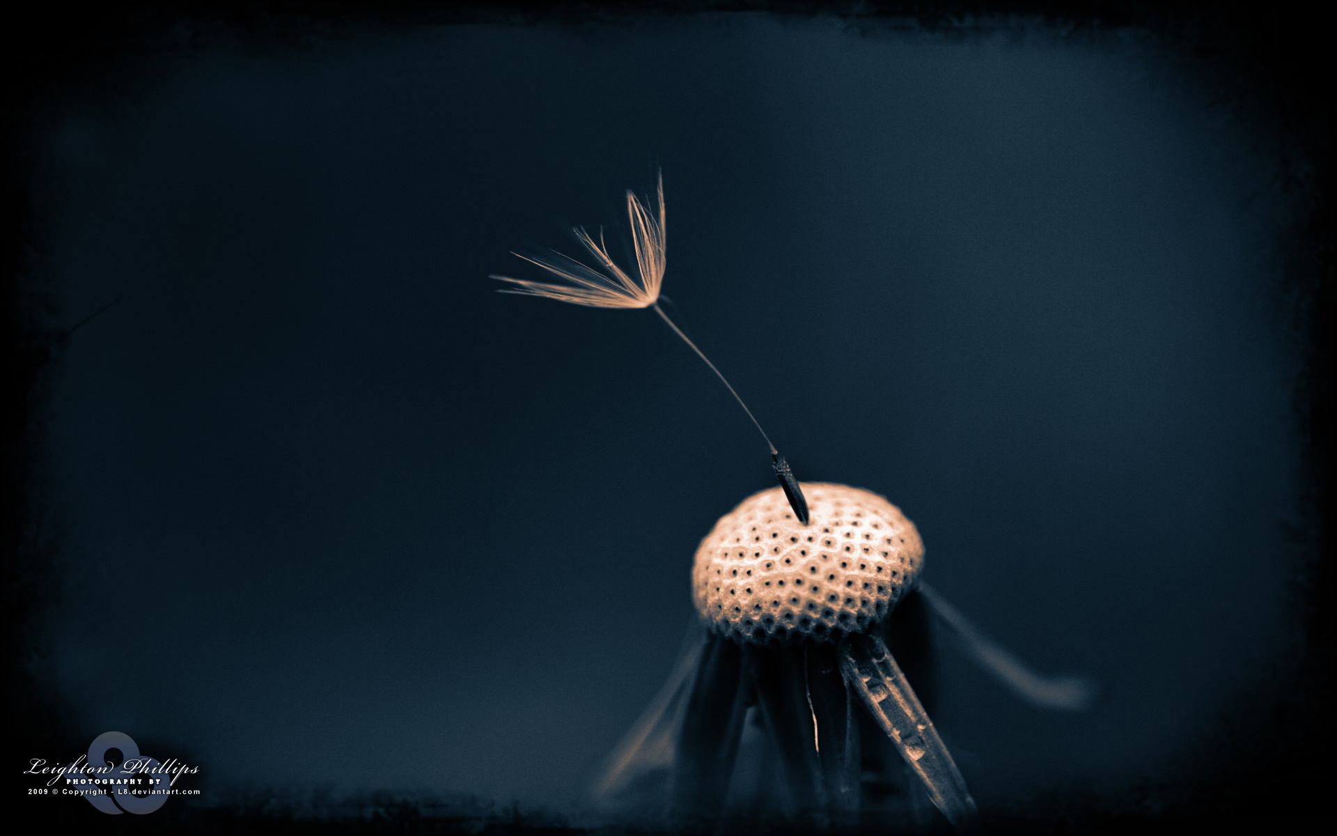 Left On The Shelf by l8
