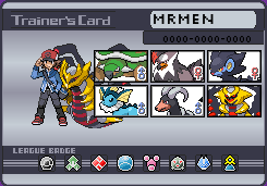 My Pokemon Team in Platinum Version