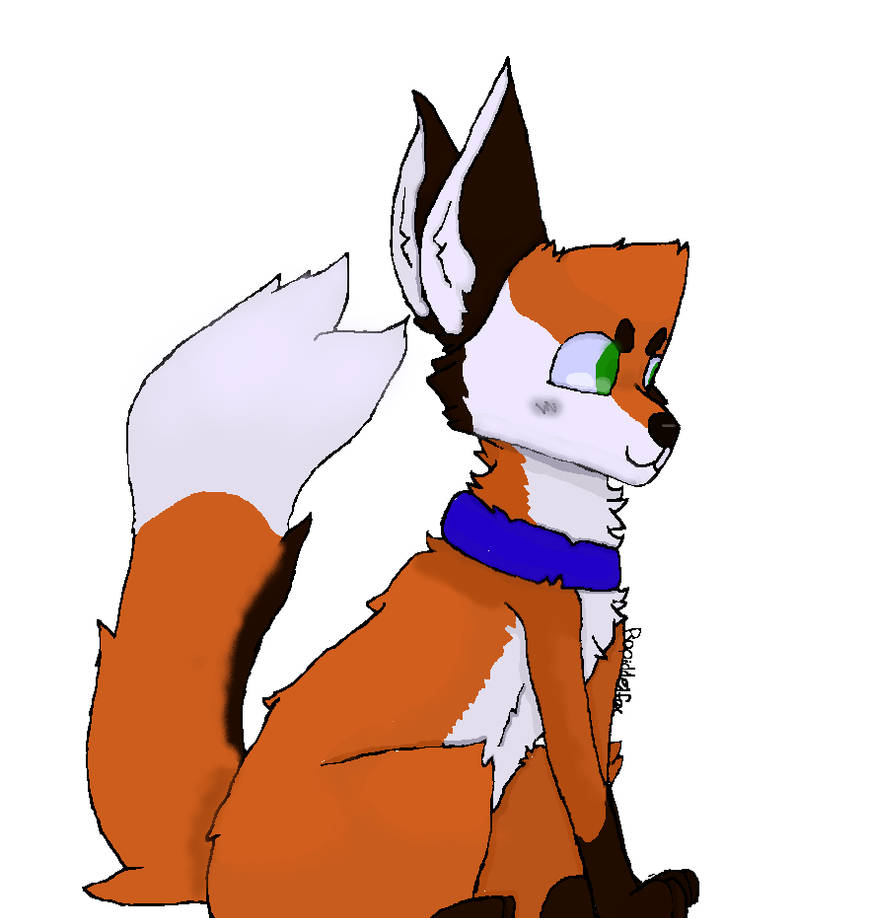 Rufus by Rapiddelfox on DeviantArt