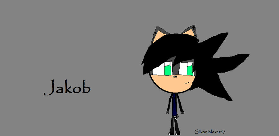 Jackob Deviantart Jakob The Hedgehog by silvonialover67 on DeviantArt