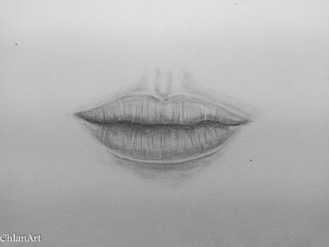 Mouth study - pencil drawing