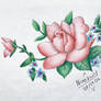 Pink rose