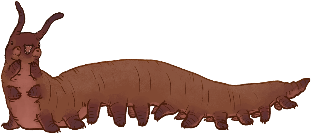 Velvet Worm