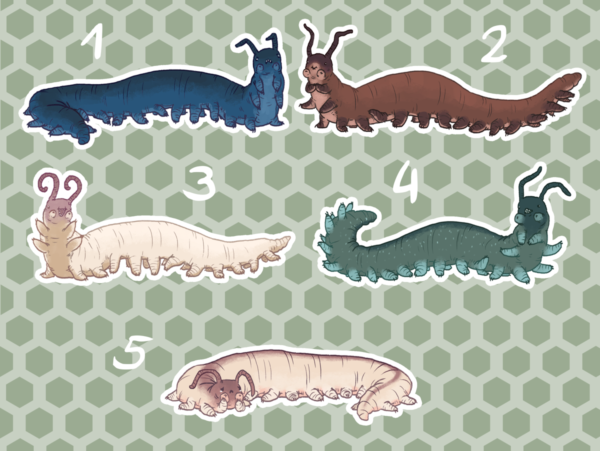 Velvet Worm Adopts