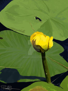 Waterlily Digital Oil Painting