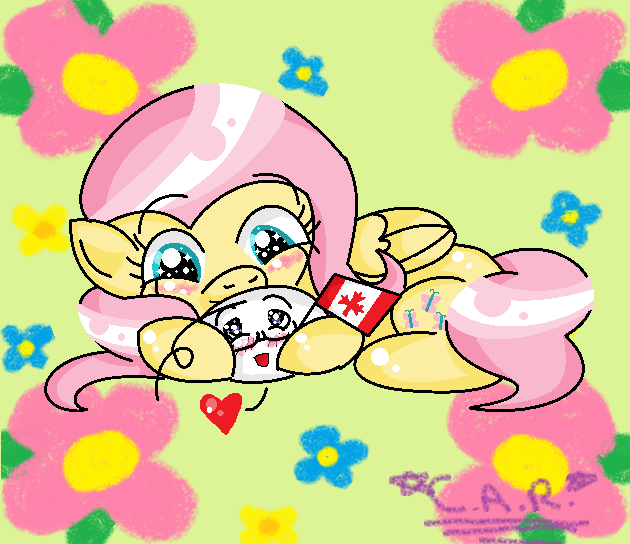 FlutterShy snuggles Canada mochi