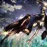 Akame and Esdeath Final Battle