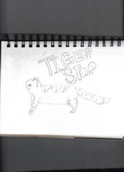 Tigerstar