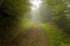 Lac de Tanay - Fog 01 by ALP-Stock