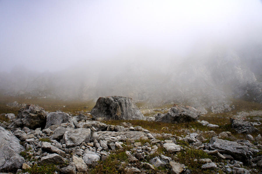 Fog and Rocks