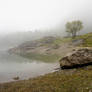 Lac de Tanay - Fog 05