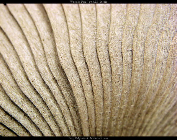Wooden Fan