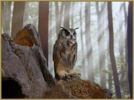 Eagle owl