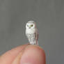 1:24 Scale Snowy owl