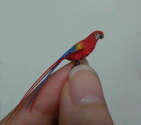 1:24 scale scarlet macaw