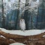 Barn Owl 1:12th scale