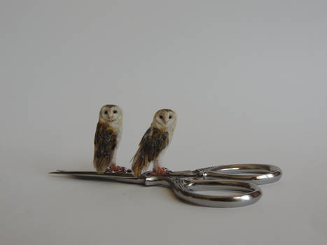 1:12 scale barn owls
