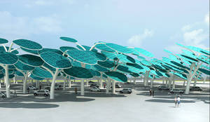 Solar Forest
